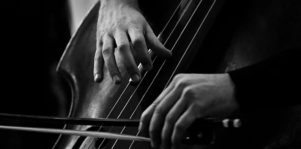 Hands of a musician playing on a double bass closeup in black and white tones.